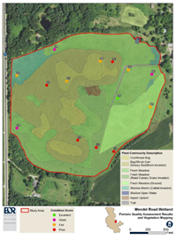 plant community mapping results September 2020