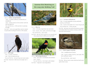 2024 Trifold Long Lake Summer Bird Brochure 5-13-21