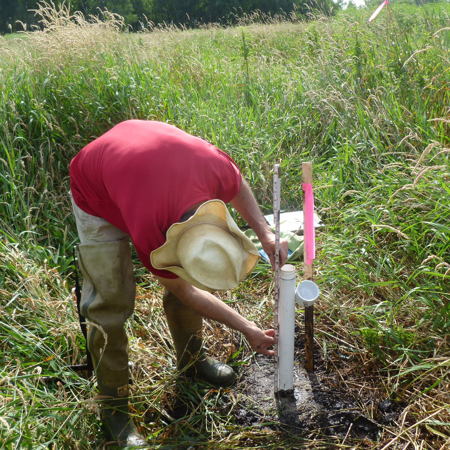 Completing piezometer readings at Mendel Wetland