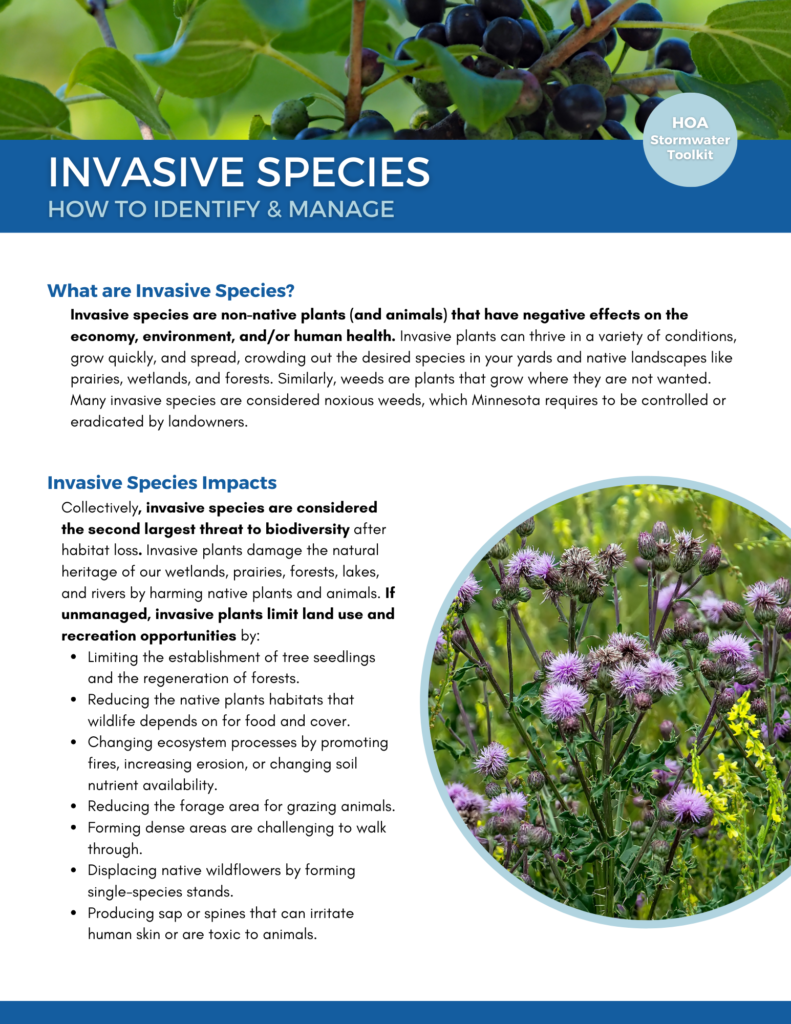 Invasive Species - 1