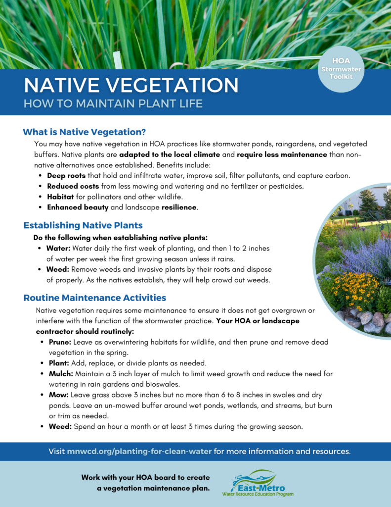 Native Vegetation - 1