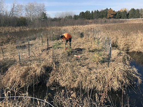 2019 - Riparian Improvement