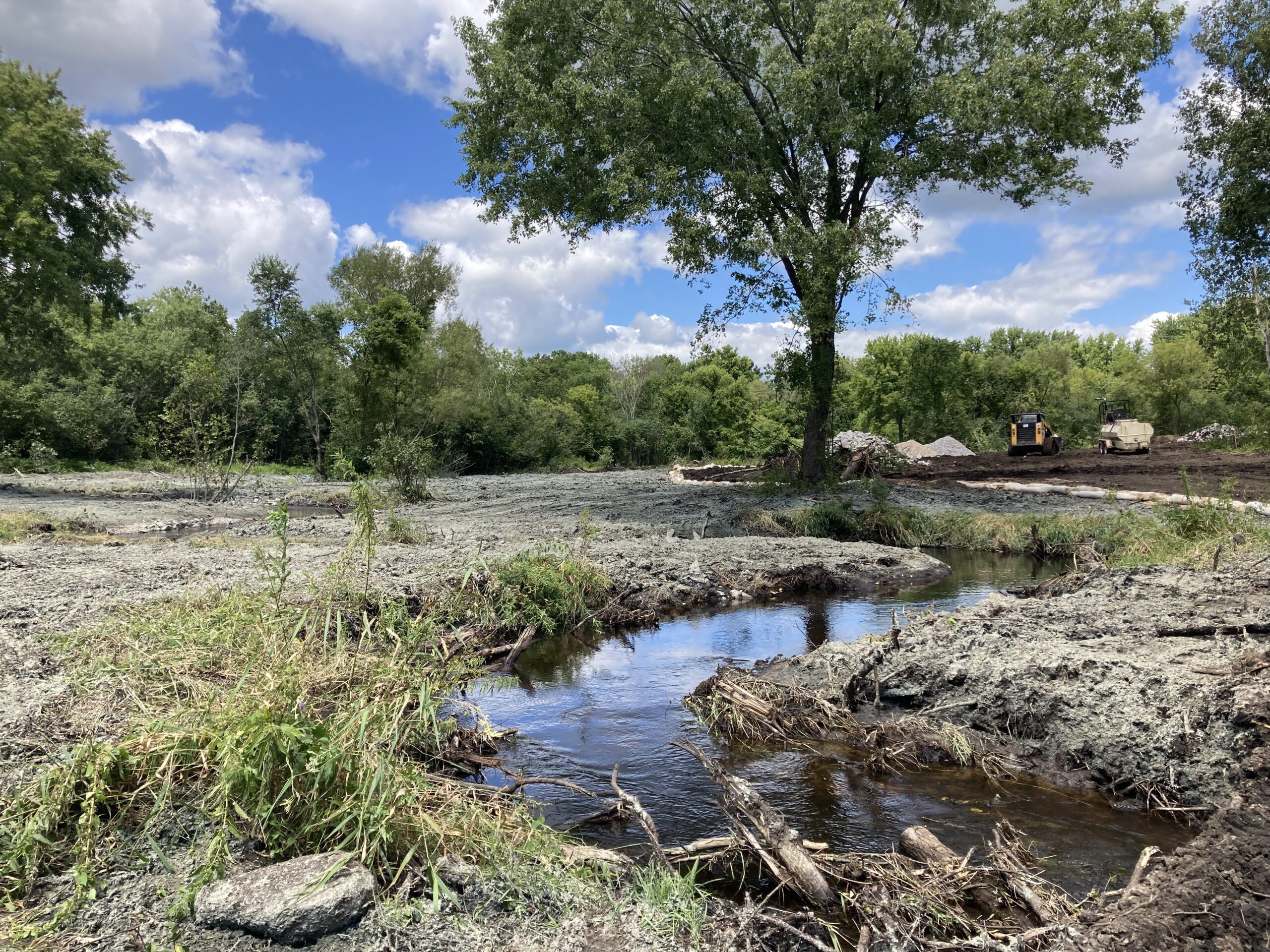 Creek beds seeded with hydromulch