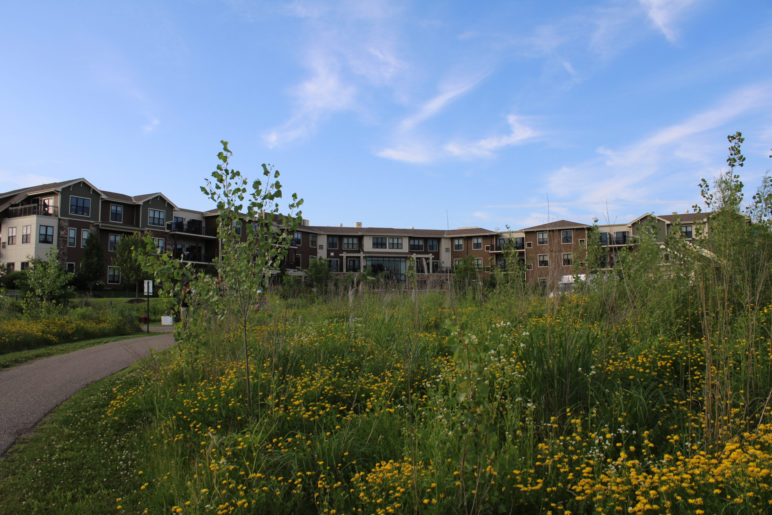 View of the Lakes at Stillwater with native green and yellow plants along a trail in the foreground.
