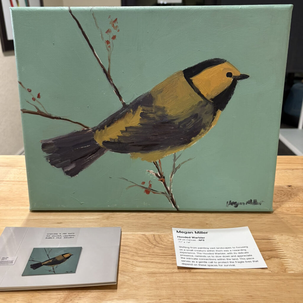 Hooded warbler painting on display