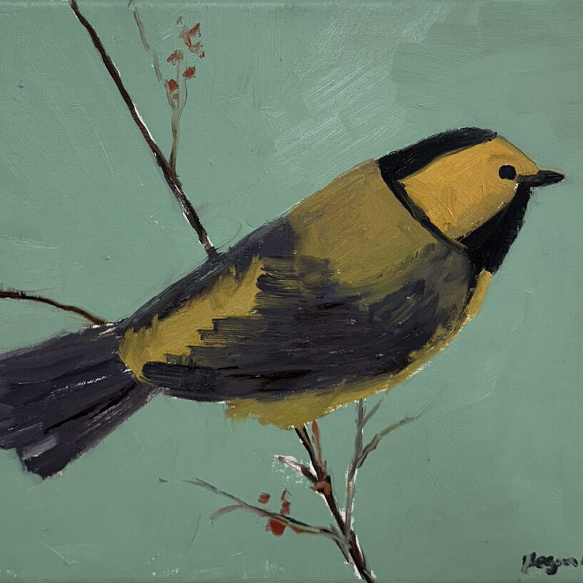 Painting of a hooded warbler