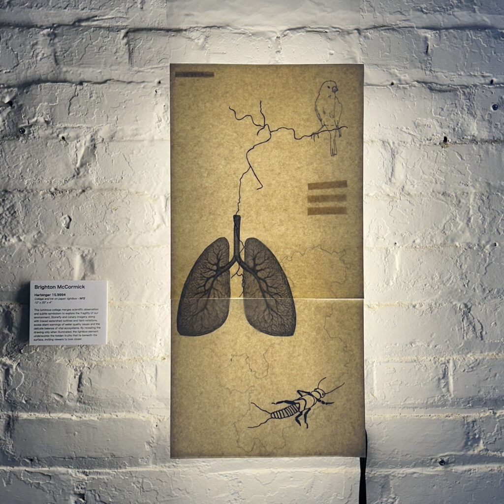 Lightbox with artwork related to the stonefly