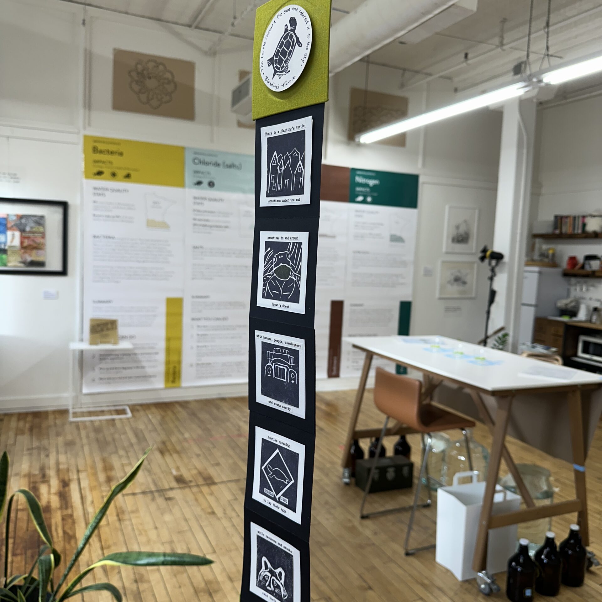 Hanging Blanding's turtle artwork