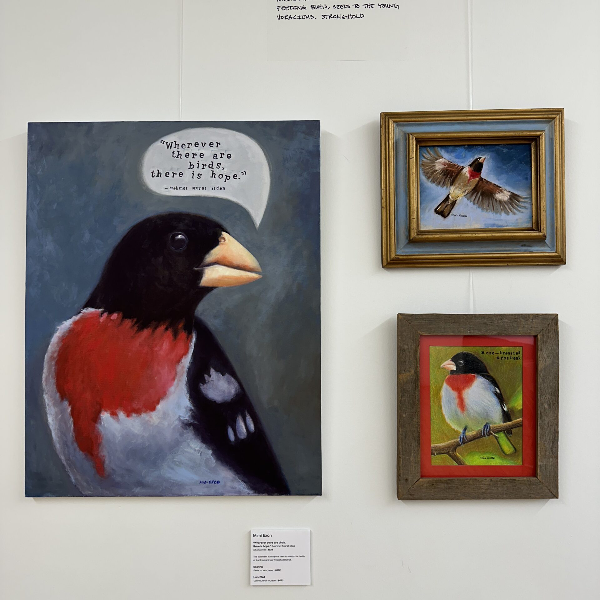 Three art pieces of the rose-breasted grosbeak