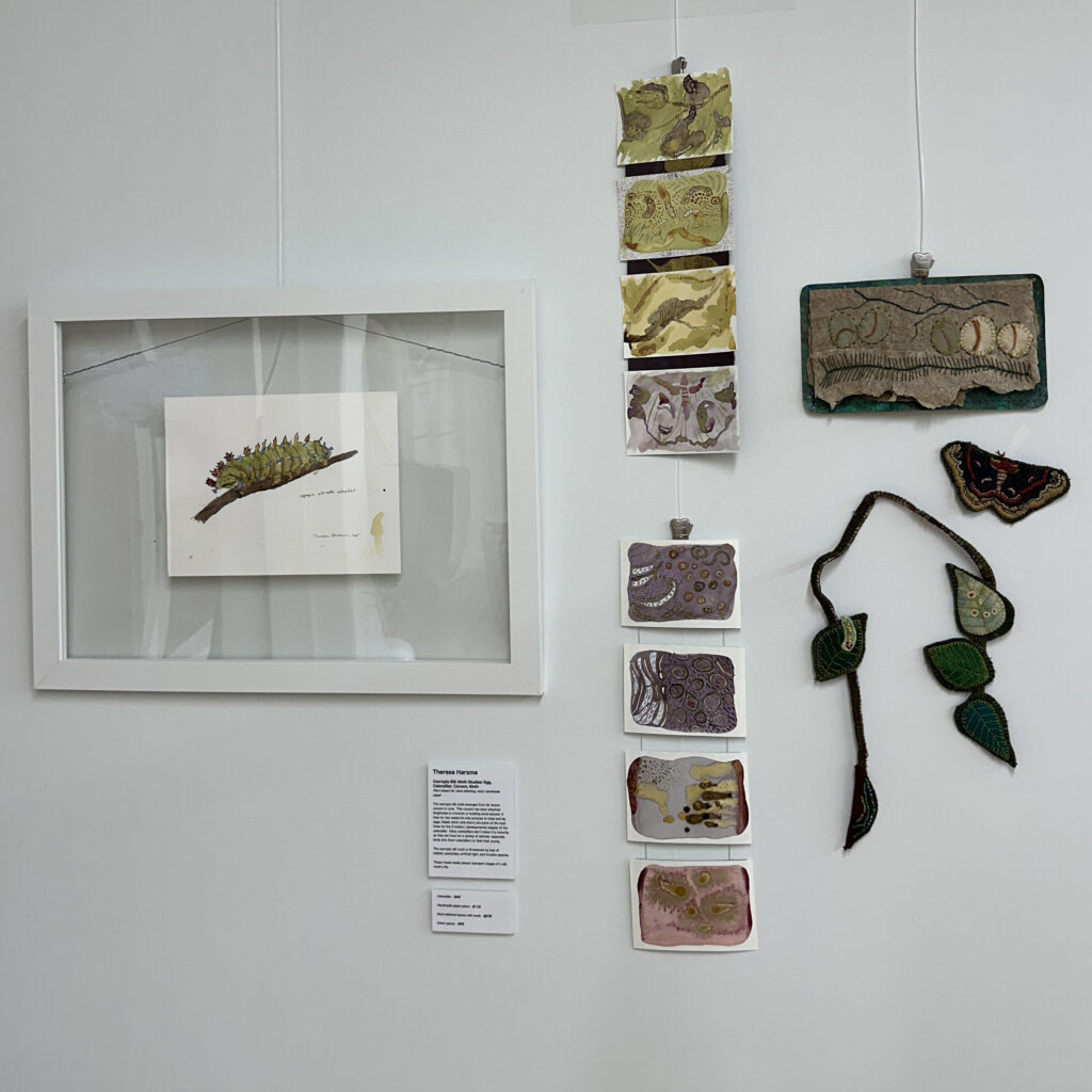 Gallery display of cecropia silk moth art pieces
