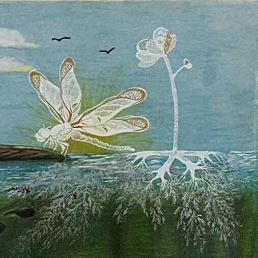 Closeup artwork of the bladderwort plant and a dragonfly