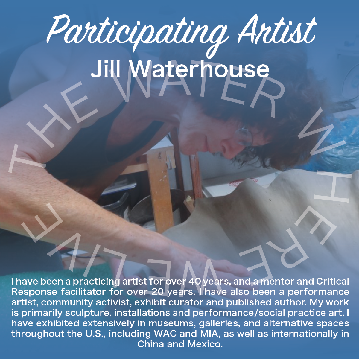 Graphic describing artist Jill Waterhouse