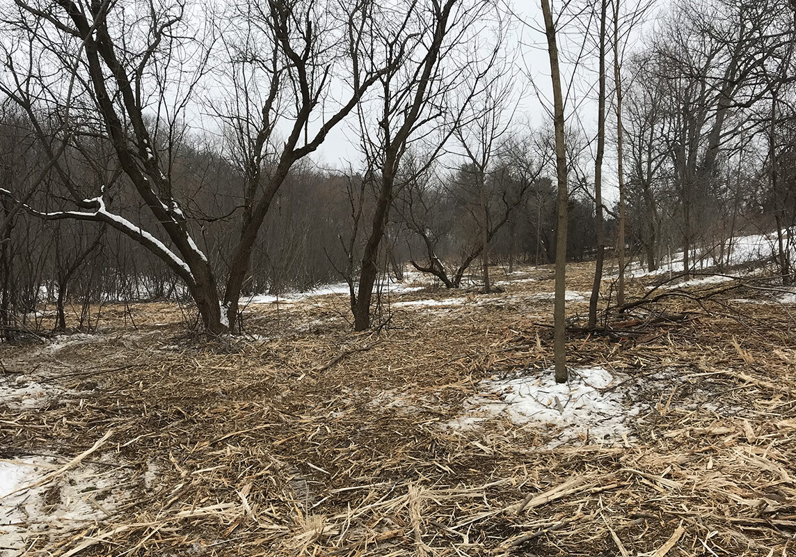 ForestryMowing