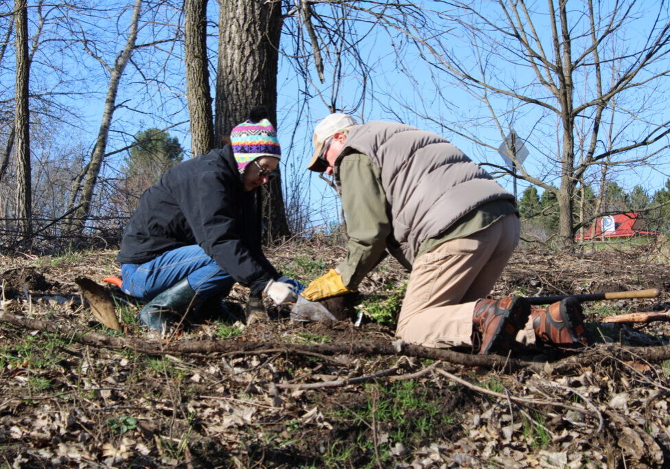 Volunteers planting