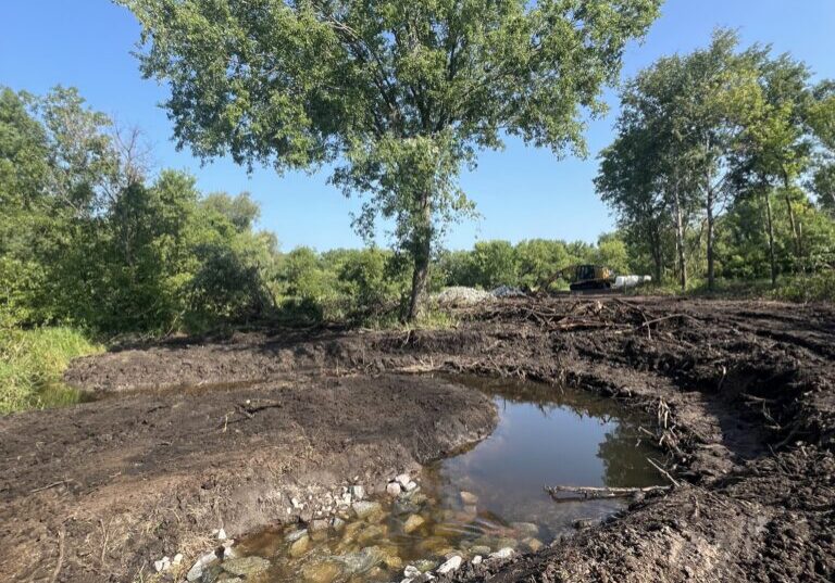 Riffle and pool taking shape in new meander