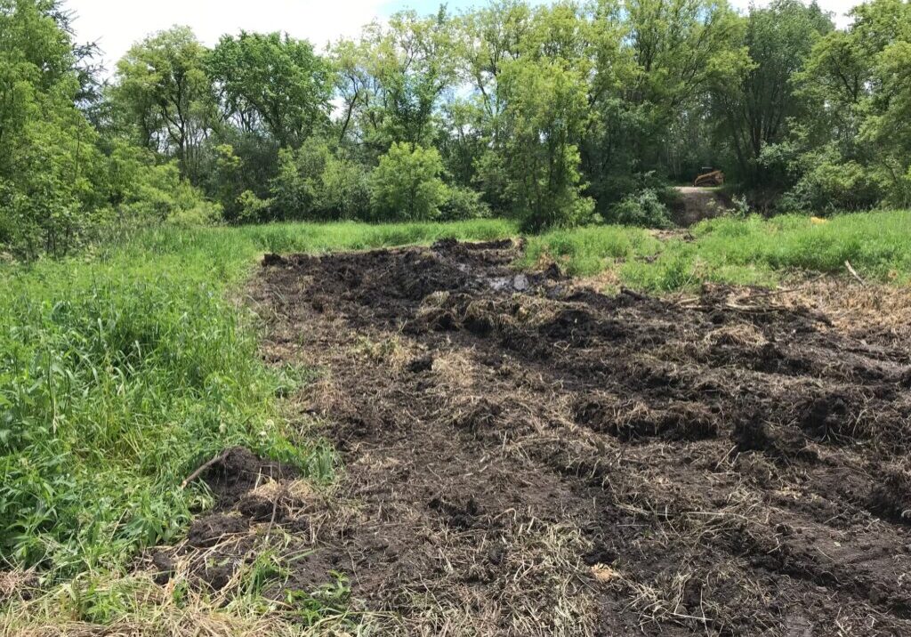 Clearing and grubbing for access paths