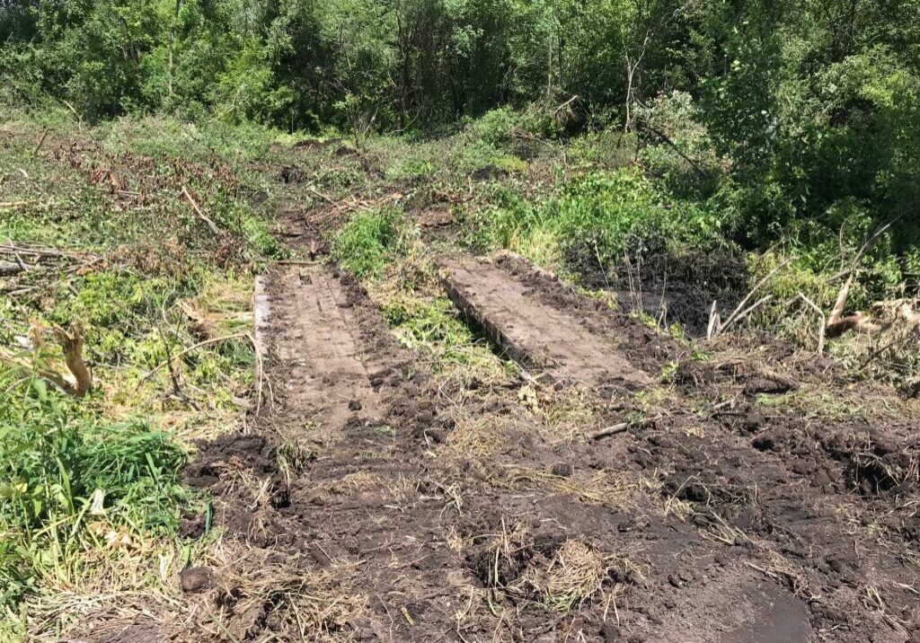 Clearing and grubbing for access paths