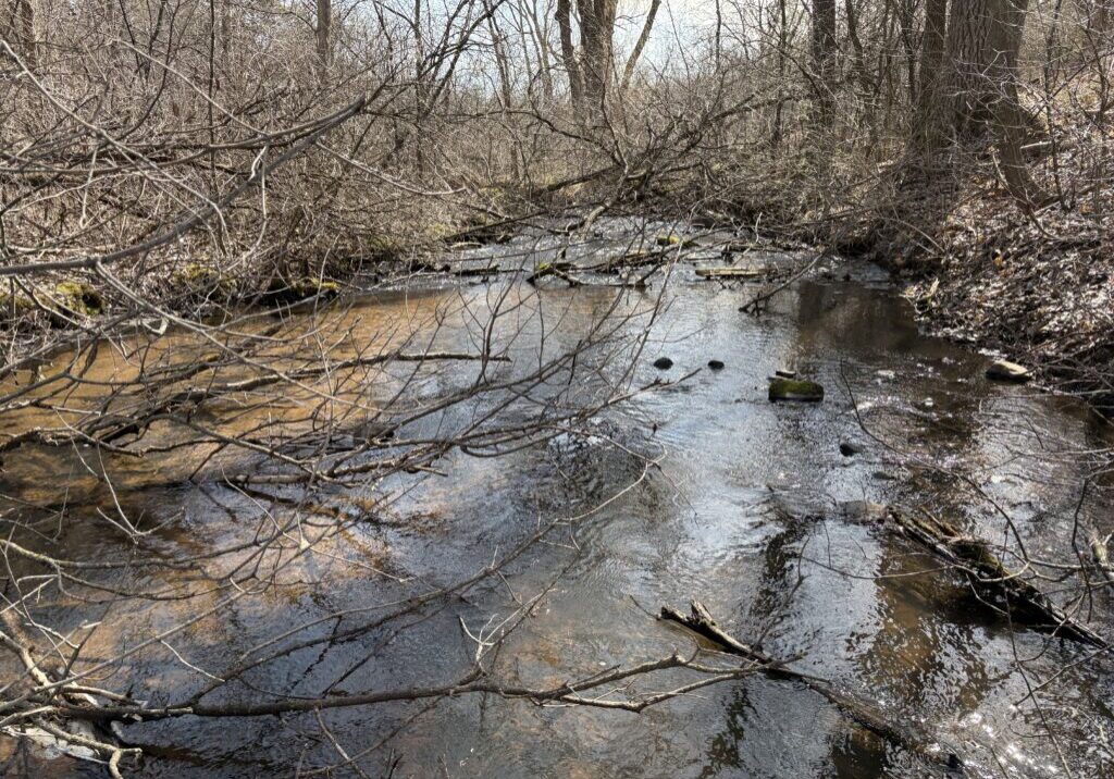Existing conditions at Brown's Creek Cove