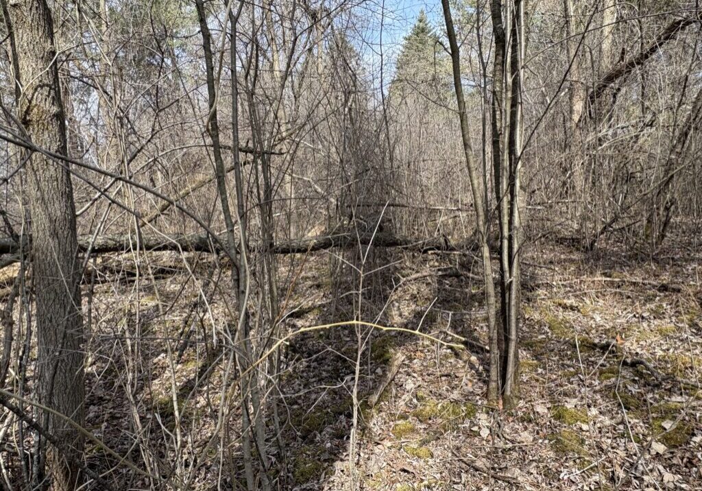 Existing conditions at Brown's Creek Cove