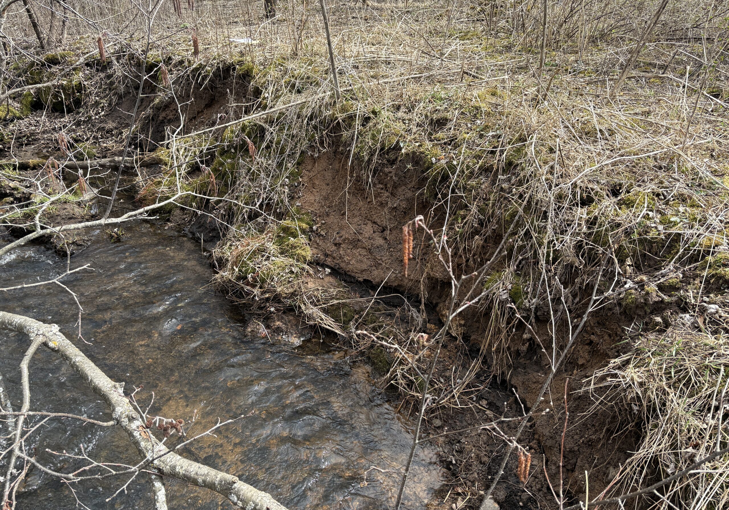 Existing conditions at Brown's Creek Cove