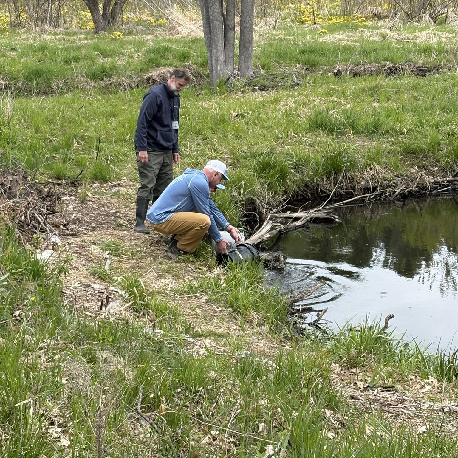 Two men on the edge of a creek. One is standing and the other is pouring a bucket of fish into the water.