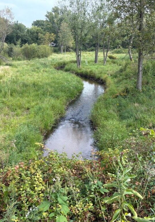 Creek restoration project area