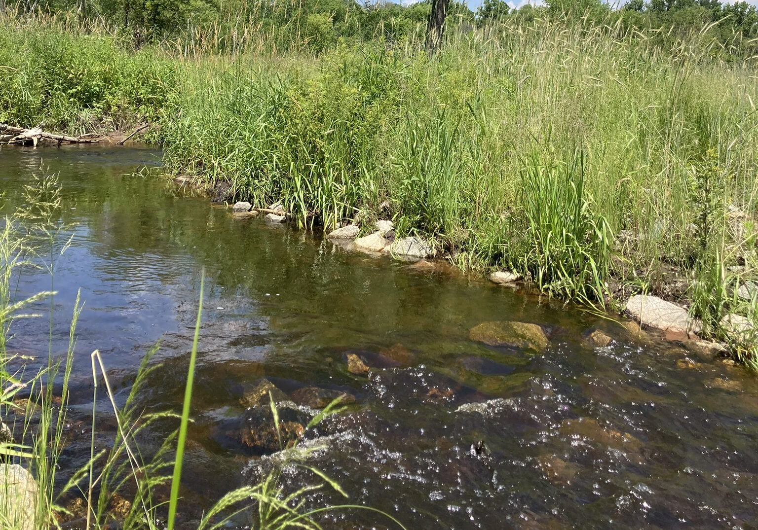 Rock riffles in Brown's Creek Stream restoration