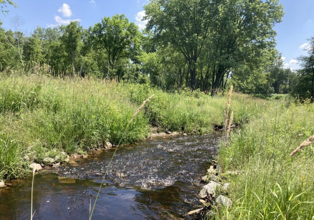Restored rock riffles in Brown's Creek