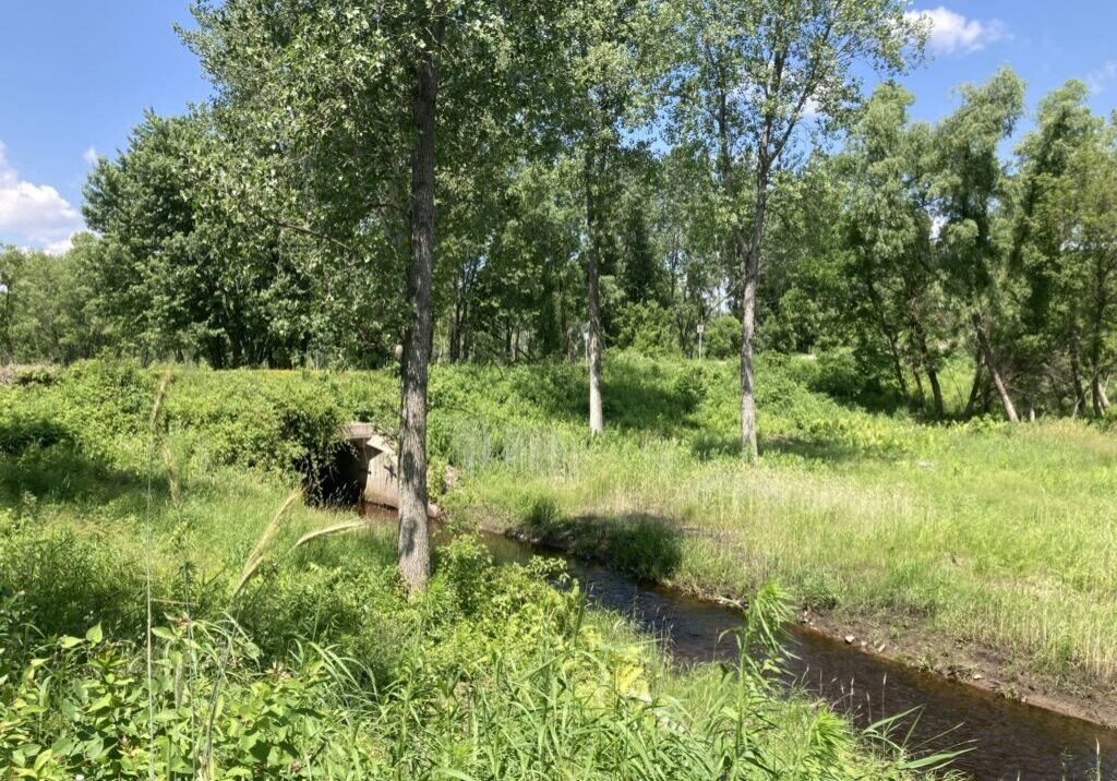 Brown's Creek culvert and stream